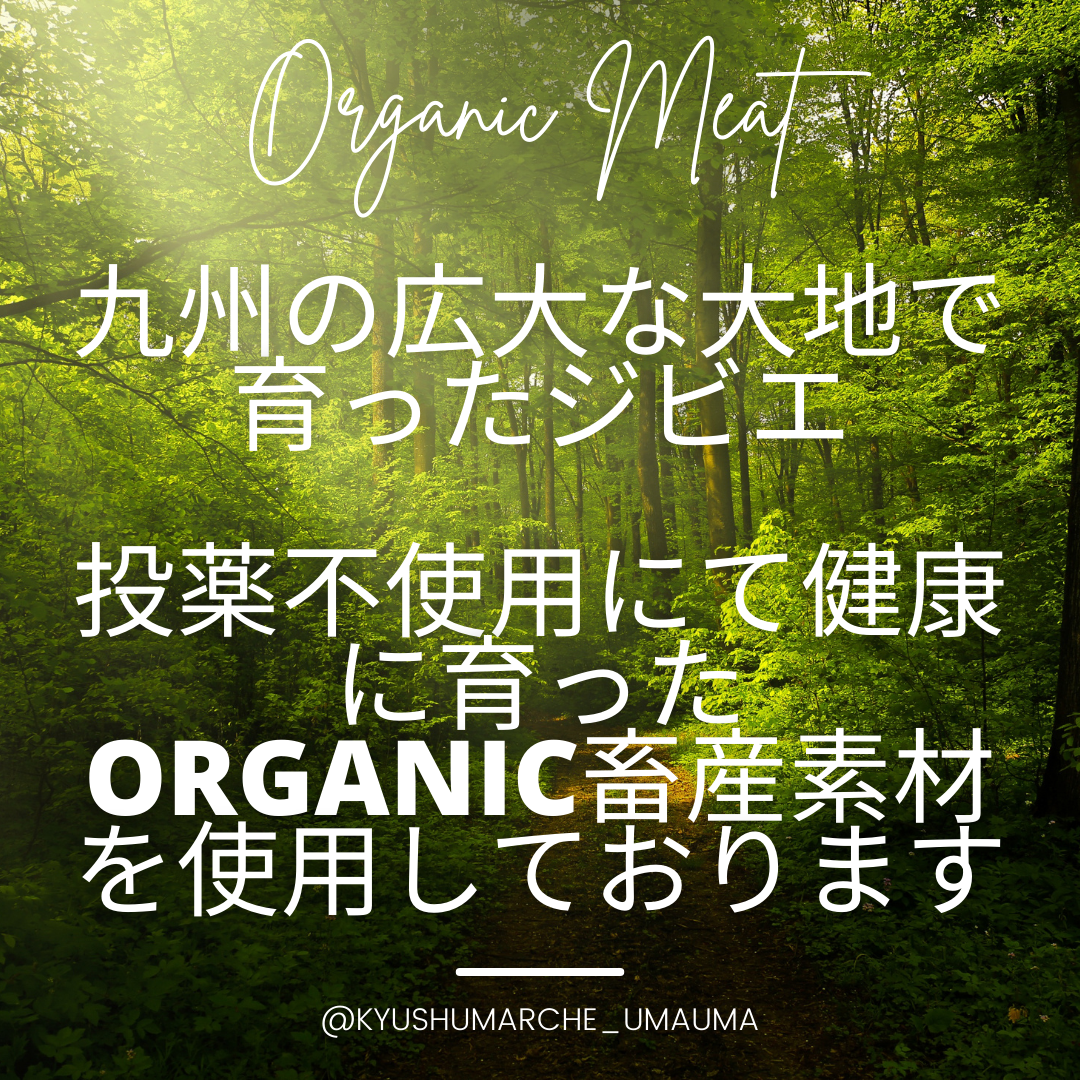 バリバリ楽しい！風味抜群！鹿児島県産 organic悠然鶏手羽先(KYUSHU MARCHE・UmaUmaさん)のメインイメージ